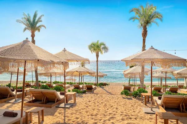 A beach with sun loungers and thatched umbrellas, palm trees, and a clear view of the ocean.