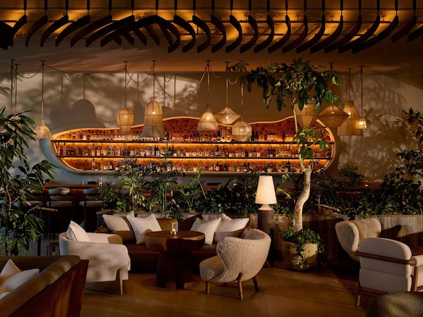 A bar area with shelves of bottles, hanging lights, and seating with plants.