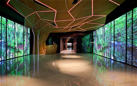 A modern interior with a geometric ceiling design, a reflective floor, and large digital forest displays on the walls.
