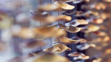 A series of hanging objects in a vertical arrangement.