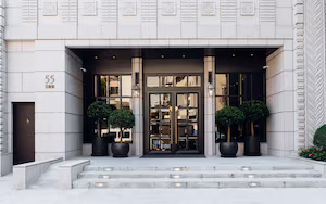 A building entrance with a double door, two potted trees, and steps leading up to the entrance.